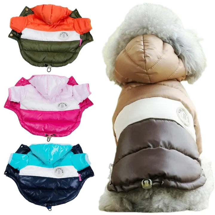 Winter Padded Dog Jacket - Warm Fashion Coat for Puppies & Cats